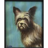 D. McArthur, oil on canvas, "Buddy" a Yorkshire terrier, signed with initials, also inscribed o