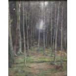 Early 20th English oil on canvas - woodpecker among silver birches, indistinctly signed, framed
