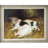 Iris Collett (b. 1938), oil on board, Two terrier dogs, signed, in painted frame. 29 x 39cm.