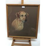 Marjorie Cox (1915-2003) pastel portrait of a Labrador named Judy, signed and dated 1970, 49cm x 45c