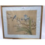 Group of six Japanese watercolours on silk panels - birds on branches, in glazed gilt frames