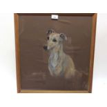 Marjorie Cox (1915-2003) pastel portrait of a greyhound named Snuggles, signed and dated 1970, 49cm