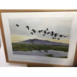 Philippa Scott, limited edition print - Barnacle Geese at Caerlaverock, signed and numbered 268/500