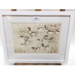 Peter Partington (b.1941) signed etching - Shelduck, 20cm x 28cm, in glazed frame