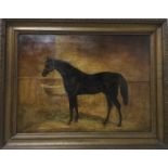 English School. 19th century, oil on canvas, brown horse in a stable, unsigned, 38 x 51cm, framed