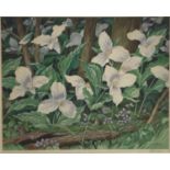 Albert Joseph Casson (1898-1992), colour print - White Trillium, signed