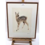 Kurt Meyer-Eberhardt (1895-1977) signed artists proof coloured etching - Standing Fawn, 50cm x 40cm,