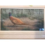 Framed painting of a pheasant signed James Horster