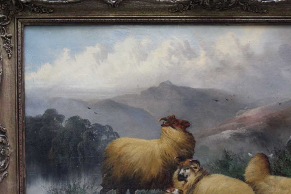 John W. Morris 1865 - 1924 A hilly landscape with a sheep dog guarding sheep, oil on canvas, sig - Image 6 of 12