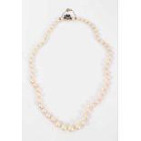 Cultured pearl necklace