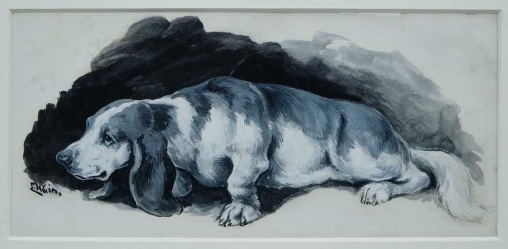 Louis Wain (1860-1939) watercolour and bodycolour on card - A Basset Hound, signed, 11cm x 23cm Pr