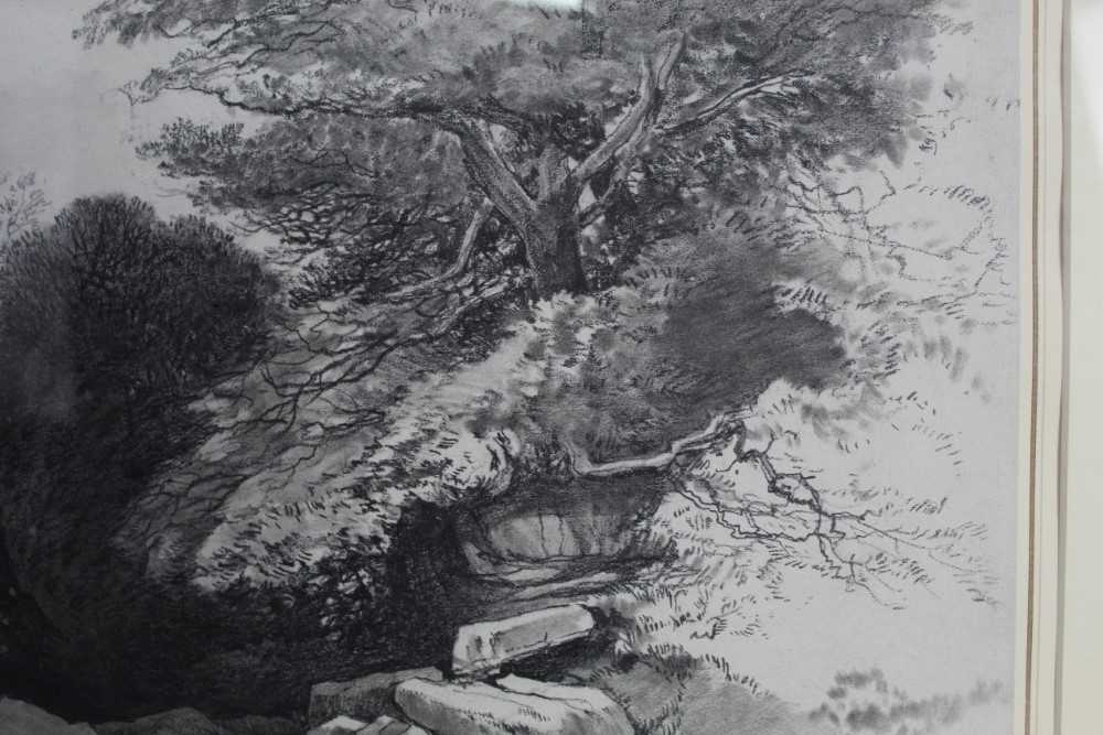 Robert Leman (1799-1863) pencil and black chalk, landscape study, signed and dated 1860 - Image 7 of 12