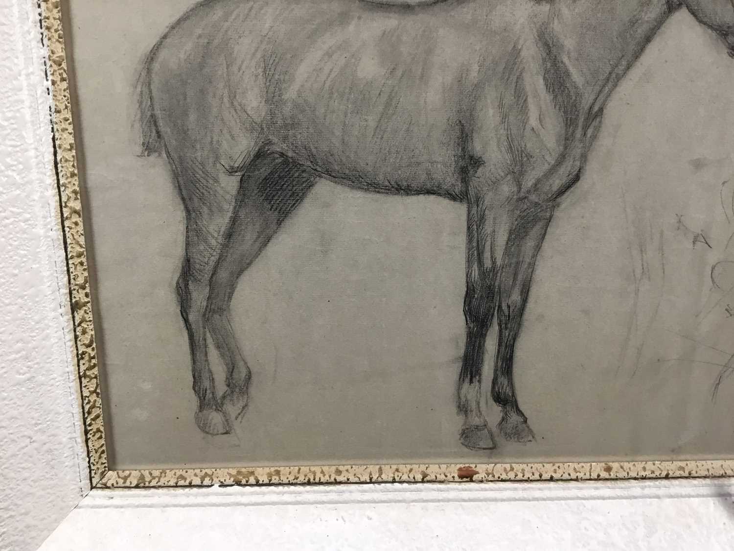 Robert G. D. Alexander (1875-1945) pencil drawing - A Horse, dated '97, from the artists Slade portf - Image 9 of 9