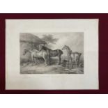 19th century engraving by George Zobel after Sir Edwin Landseer - Hunters at Grass, published by Fis