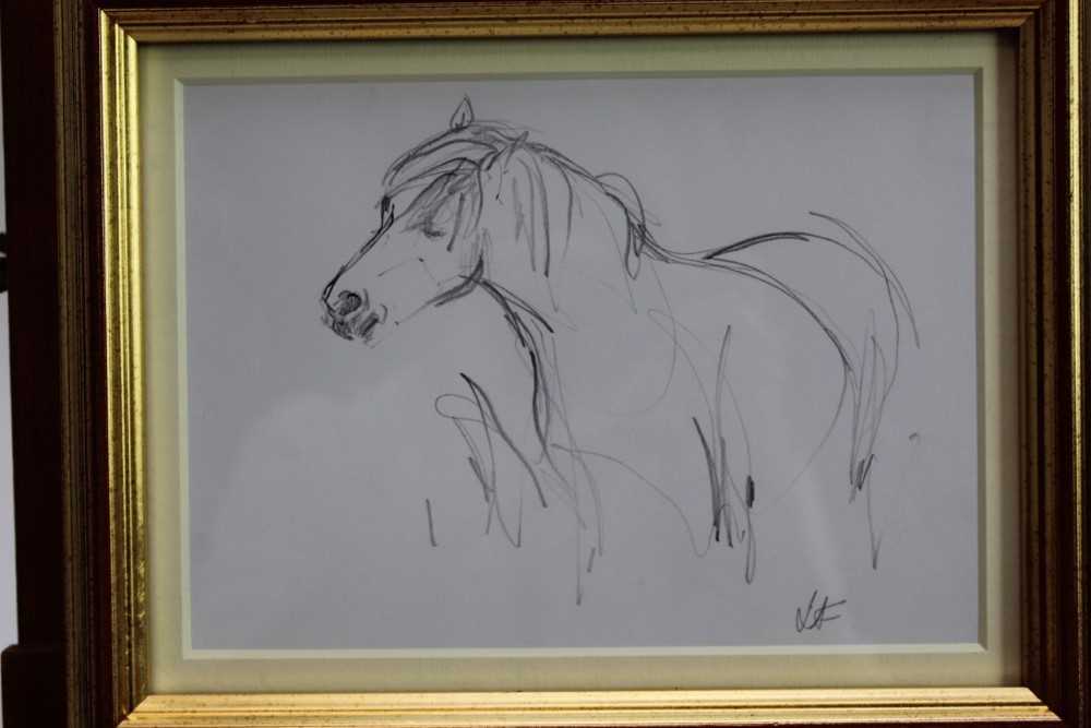 Lesley Fotherby (b.1946) pencil drawing - Pony Hovering Hopefully, initialled, in glazed gilt frame,