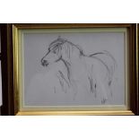 Lesley Fotherby (b.1946) pencil drawing - Pony Hovering Hopefully, initialled, in glazed gilt frame,