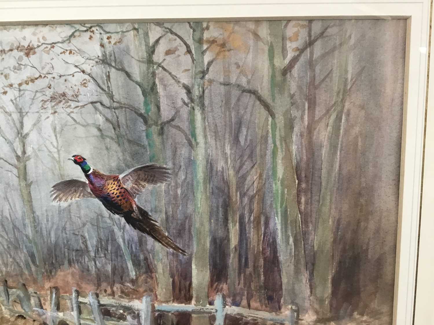 Roland Green (1896-1972) - watercolour- Pheasants in flight, 29cm x 44cm - Image 7 of 8