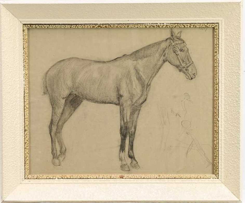 Robert G. D. Alexander (1875-1945) pencil drawing - A Horse, dated '97, from the artists Slade portf