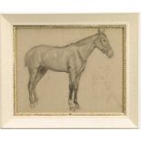 Robert G. D. Alexander (1875-1945) pencil drawing - A Horse, dated '97, from the artists Slade portf