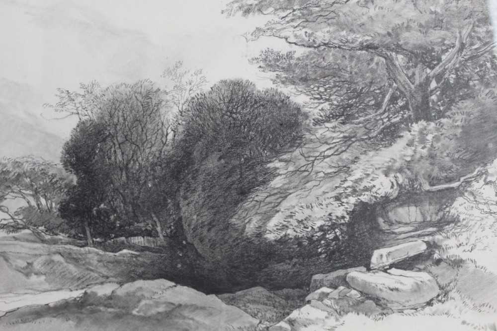 Robert Leman (1799-1863) pencil and black chalk, landscape study, signed and dated 1860 - Image 9 of 12