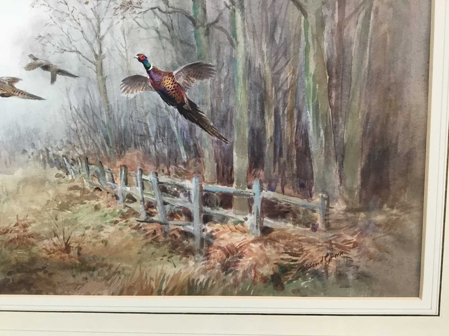 Roland Green (1896-1972) - watercolour- Pheasants in flight, 29cm x 44cm - Image 2 of 8