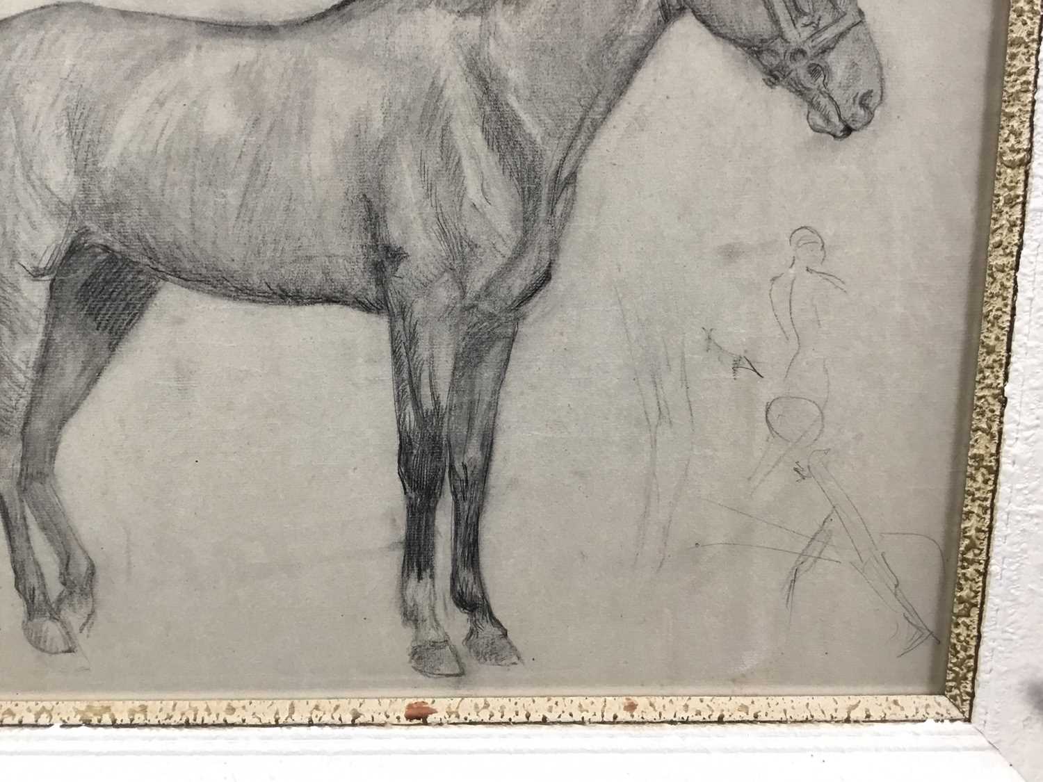 Robert G. D. Alexander (1875-1945) pencil drawing - A Horse, dated '97, from the artists Slade portf - Image 4 of 9