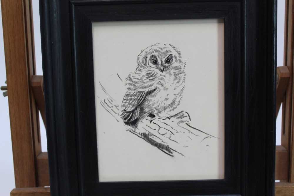 Eileen Soper (1905-1990) pencil and charcoal - Rescued Owl, in glazed frame, 14.5cm x 11.5cm Prove