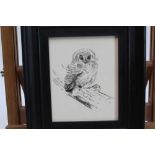 Eileen Soper (1905-1990) pencil and charcoal - Rescued Owl, in glazed frame, 14.5cm x 11.5cm Prove