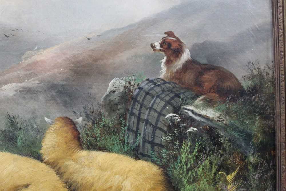 John W. Morris 1865 - 1924 A hilly landscape with a sheep dog guarding sheep, oil on canvas, sig - Image 5 of 12