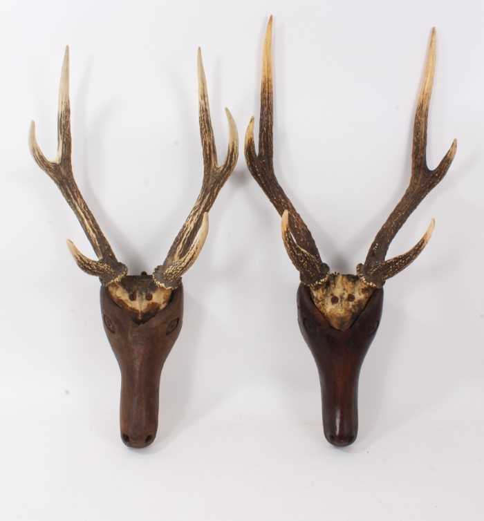 Pair of antique folk art stags heads with carved wooden head and stag horn antlers