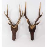 Pair of antique folk art stags heads with carved wooden head and stag horn antlers