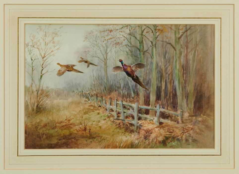 Roland Green (1896-1972) - watercolour- Pheasants in flight, 29cm x 44cm