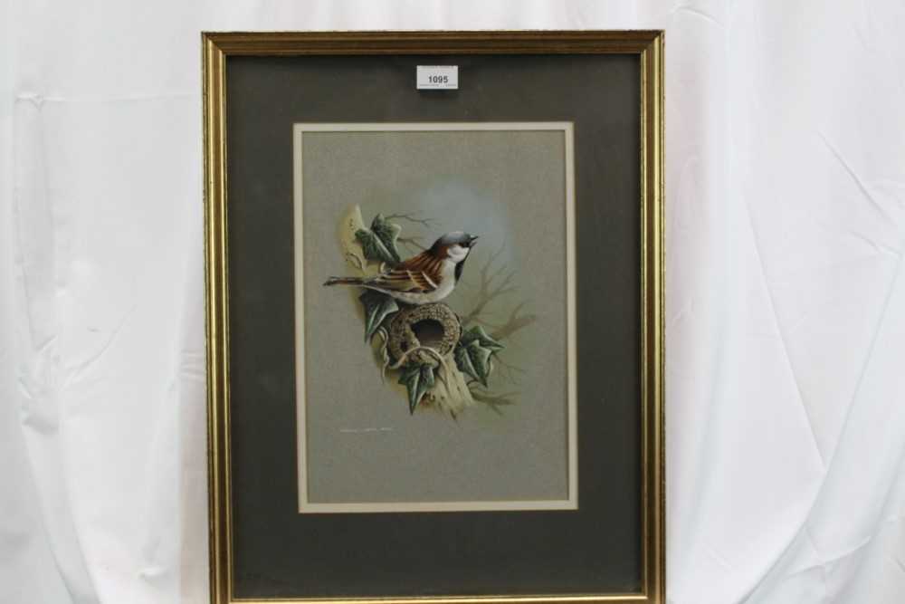 Terence Bond watercolour sparrow - Image 4 of 4