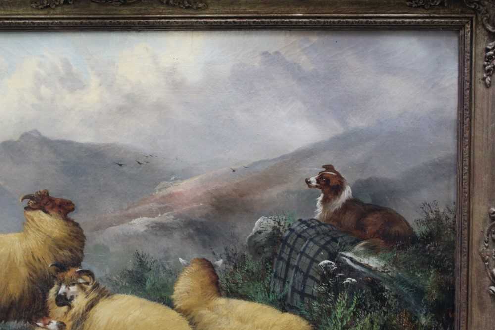 John W. Morris 1865 - 1924 A hilly landscape with a sheep dog guarding sheep, oil on canvas, sig - Image 9 of 12