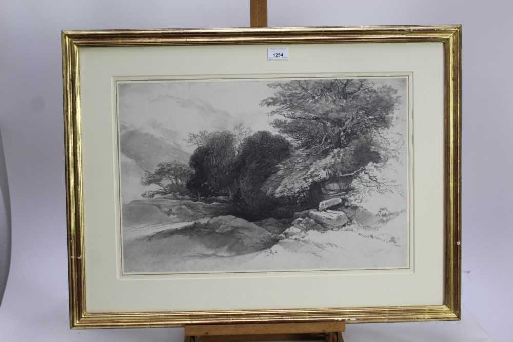 Robert Leman (1799-1863) pencil and black chalk, landscape study, signed and dated 1860 - Image 2 of 12