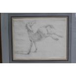 17th century Italian School pencil drawing - a horse, in glazed gilt frame