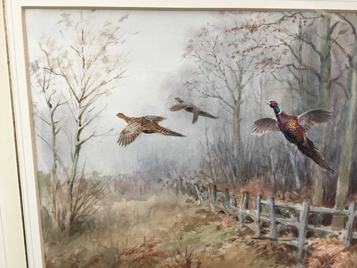 Roland Green (1896-1972) - watercolour- Pheasants in flight, 29cm x 44cm - Image 4 of 8