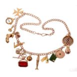 Gold charm necklace with a long length of 9ct rose gold curb links suspending a collection of 15 ant