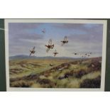 Richard Robjent signed coloured print - Red Grouse