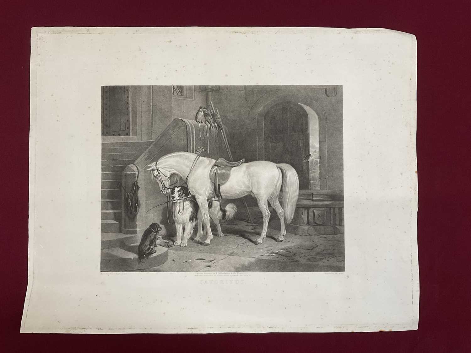 19th century engraving by William Giller after Sir Edwin Landseer - Favorites, published by Hildeshe