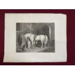 19th century engraving by William Giller after Sir Edwin Landseer - Favorites, published by Hildeshe