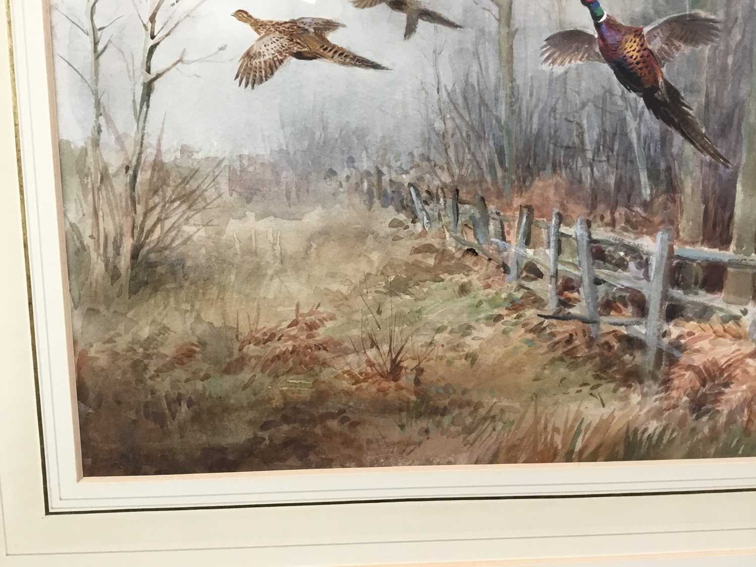 Roland Green (1896-1972) - watercolour- Pheasants in flight, 29cm x 44cm - Image 5 of 8