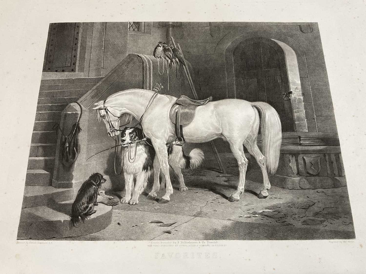 19th century engraving by William Giller after Sir Edwin Landseer - Favorites, published by Hildeshe - Image 2 of 7