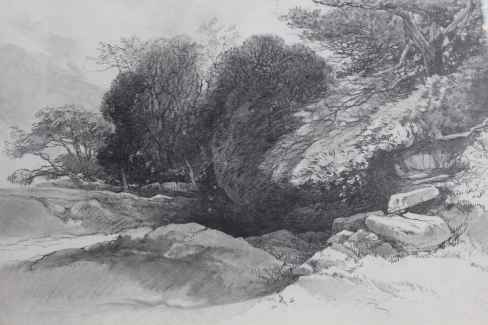 Robert Leman (1799-1863) pencil and black chalk, landscape study, signed and dated 1860 - Image 10 of 12