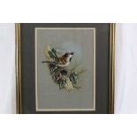 Terence Bond watercolour sparrow