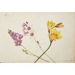 Fine Regency botanical album