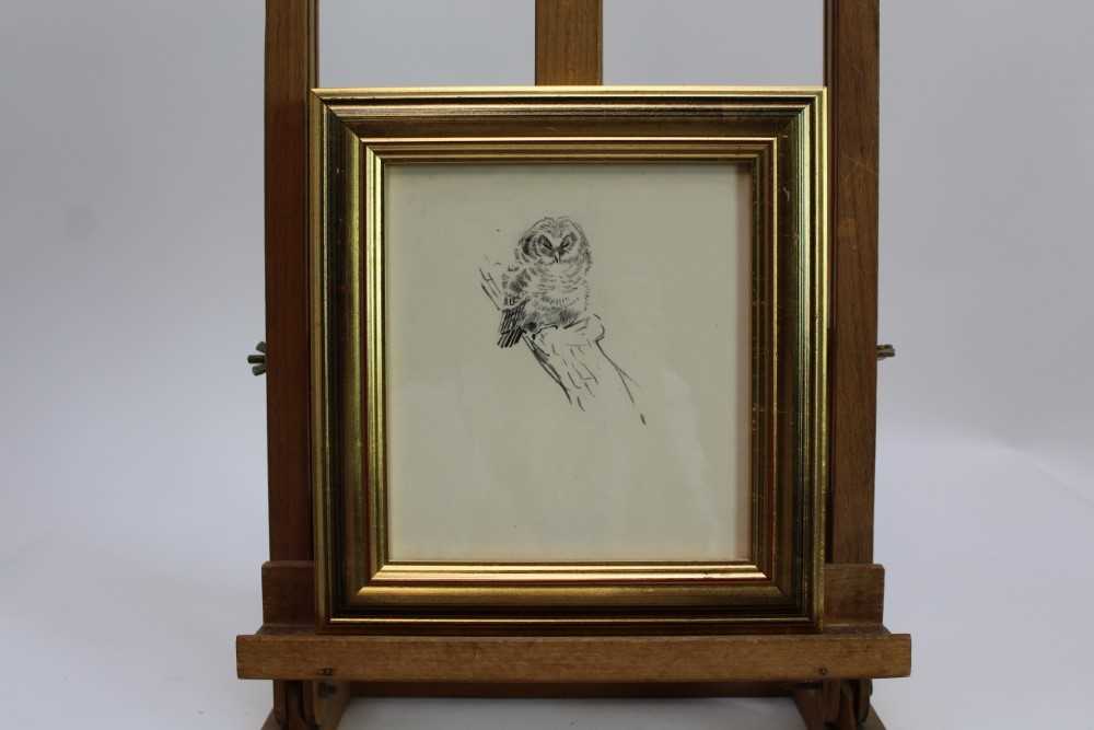 Eileen Soper (1905-1990) pencil drawing - Napping Owl, in glazed gilt frame Provenance: Chris Beet - Image 2 of 3