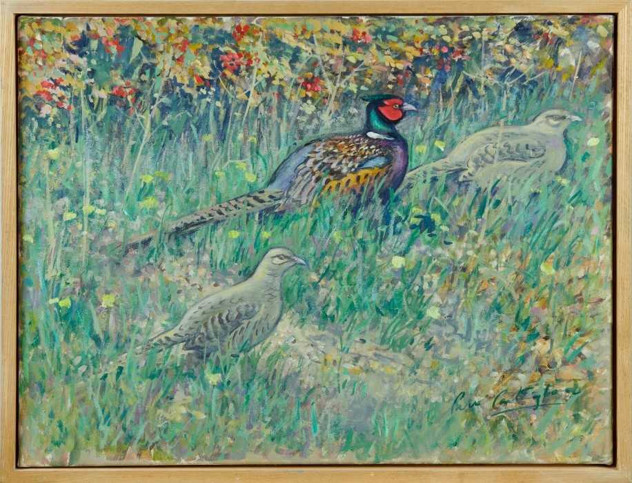 Peter Partington, contemporary, signed oil on canvas - Pheasants in a landscape