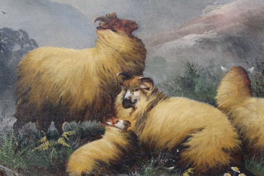 John W. Morris 1865 - 1924 A hilly landscape with a sheep dog guarding sheep, oil on canvas, sig - Image 4 of 12