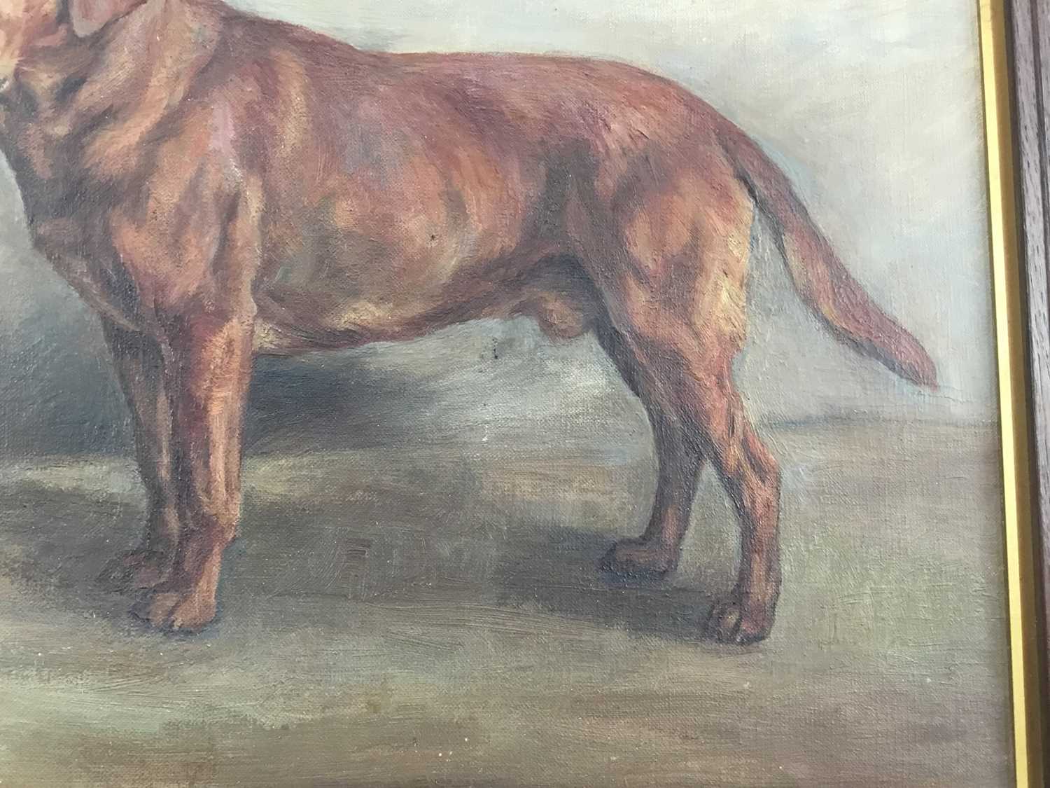 Florence Jay (act.1905-1920) oil on canvas - A Labrador, 'Sandgreen Reef', signed and dated 1932, 40 - Image 5 of 9